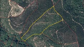 Land for sale in Monchique, Portugal — €80,000