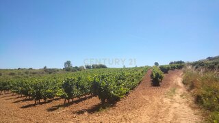Land for sale in Torres Vedras, Portugal — €49,000