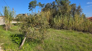 Land for sale in Soure, Portugal — €25,000