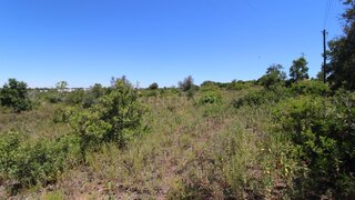 Land for sale in Silves, Portugal — €50,000