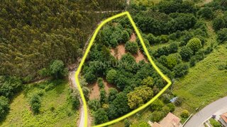 Land for sale in Oliveira de Frades, Portugal — €40,000
