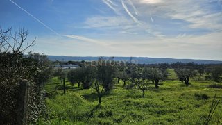 Land for sale in Constância, Portugal — €45,000