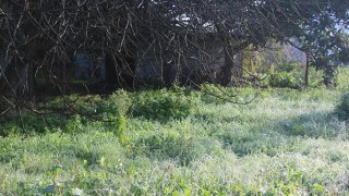 Terreno em Golegã