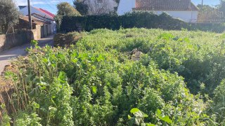 Land for sale in Abrantes, Portugal — €60,000