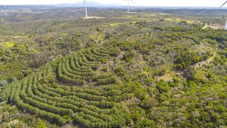Land for sale in Lagos, Portugal — €90,000