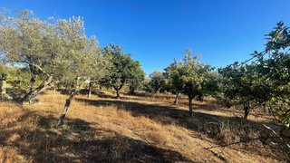 Land for sale in Penamacor, Portugal — €9,900