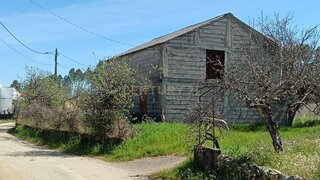 Terreno de 7840 m² em Castelo Branco