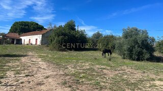 Terreno de 161 630 m² em Santarém