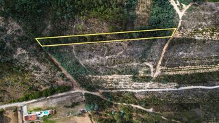 Land for sale in Montemor-o-Velho, Portugal — €4,900