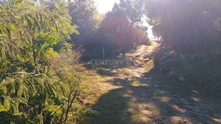 Land for sale in Baião, Portugal — €45,000