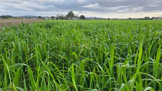 Land for sale in Moita, Portugal — €262,000