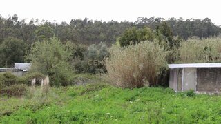 Terreno de 3439 m² em Coimbra