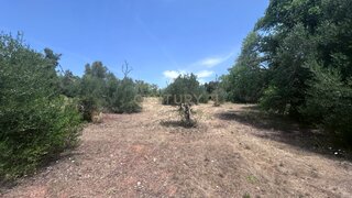Terreno em Silves · 6320 m² · 850 000 €