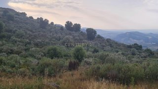 Land for sale in Vila Flor, Portugal — €190,000
