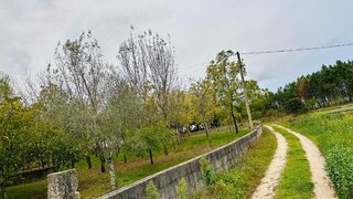 Land for sale in Anadia, Portugal — €25,000