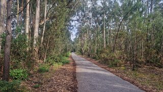 Land for sale in Vagos, Portugal — €41,700