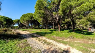 Land for sale in Grândola, Portugal — €3,500,000