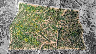 Land for sale in Santiago do Cacém, Portugal — €920,000
