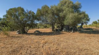 Land for sale in Reguengos de Monsaraz, Portugal — €450,000