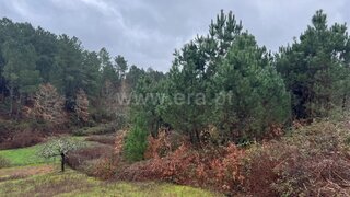 Terreno em Vila Real · 2170 m² · 35 000 €