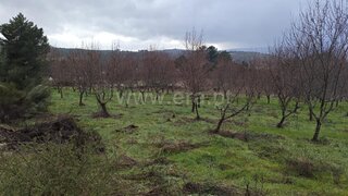 Land for sale in Alijó, Portugal — €120,000