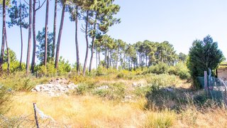 Terreno de 1200 m² em Vila Real