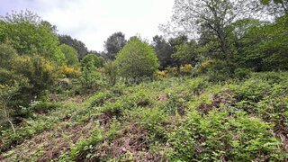 Terreno em Vila Real · 750 m² · 15 000 €