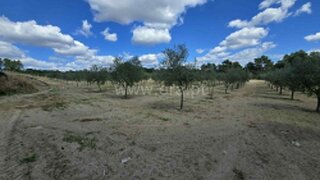 Terreno para venda em Valpaços, Portugal — 79 000 €