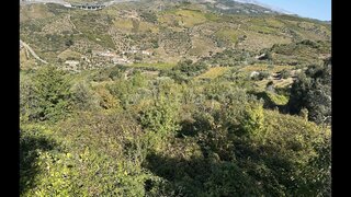 Land for sale in Peso da Régua, Portugal