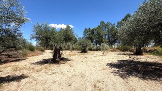 Land for sale in Valpaços, Portugal — €49,000