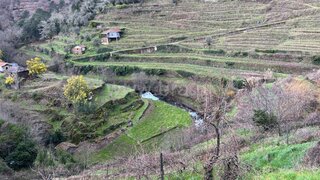 Terreno em Santa Marta de Penaguião
