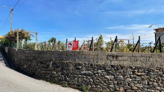 Land for sale in Peso da Régua, Portugal — €25,000