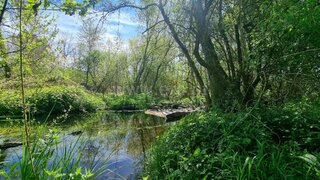 Land for sale in Valpaços, Portugal — €15,000