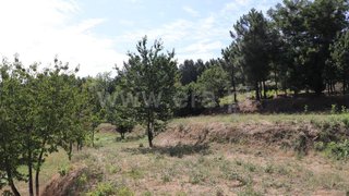 Terreno de 5412 m² em Vila Real