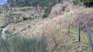Land for sale in Santa Marta de Penaguião, Portugal — €57,350