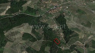 Terreno em Peso da Régua