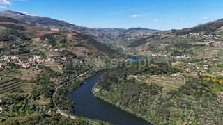 Terreno em Mesão Frio