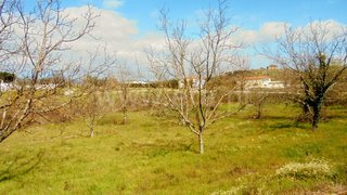 Land for sale in Vila Real, Portugal — €160,000