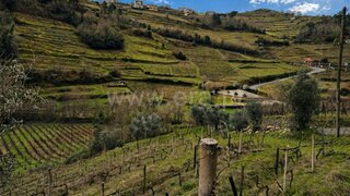 Land for sale in Santa Marta de Penaguião, Portugal — €52,350