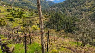 Terreno em Santa Marta de Penaguião