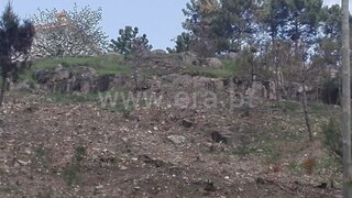 Land for sale in Vila Real, Portugal — €60,000