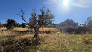 Land for sale in Valpaços, Portugal — €60,000