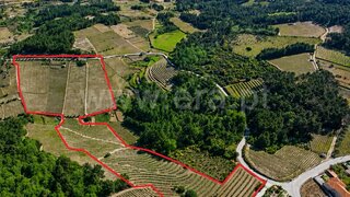 Terreno em Vila Real · 48 652 m² · 250 000 €
