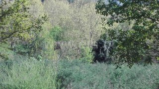 Land for sale in Mondim de Basto, Portugal — €106,500