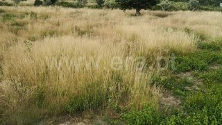 Terreno para venda em Sabrosa, Portugal — 220 000 €