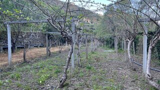 Land for sale in Peso da Régua, Portugal — €162,000