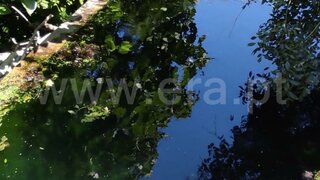 Land for sale in Santa Marta de Penaguião, Portugal — €110,000