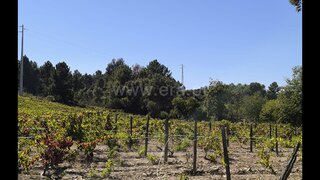 Terreno para venda em Peso da Régua, Portugal — 50 000 €