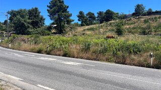 Terreno em Vila Real · 4000 m² · 160 000 €