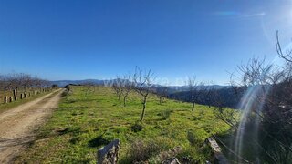 Land for sale in Valpaços, Portugal — €14,150